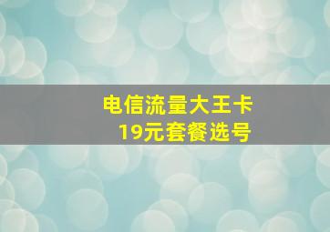 电信流量大王卡19元套餐选号