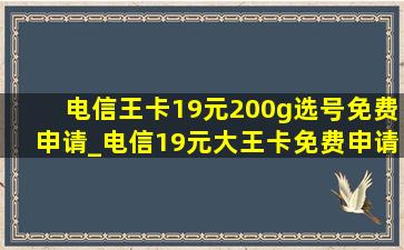 电信王卡19元200g选号免费申请_电信19元大王卡免费申请选号