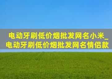 电动牙刷(低价烟批发网)名小米_电动牙刷(低价烟批发网)名情侣款