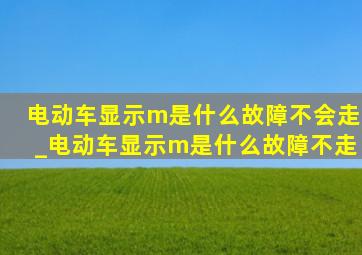 电动车显示m是什么故障不会走_电动车显示m是什么故障不走