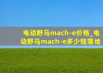 电动野马mach-e价格_电动野马mach-e多少钱落地