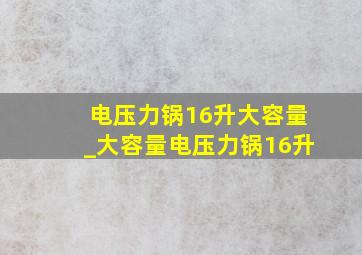 电压力锅16升大容量_大容量电压力锅16升