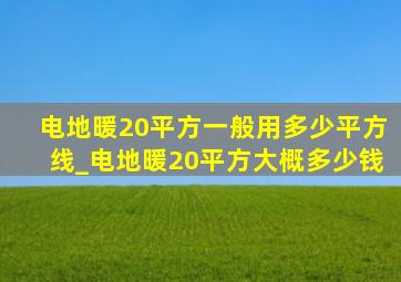 电地暖20平方一般用多少平方线_电地暖20平方大概多少钱