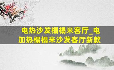 电热沙发榻榻米客厅_电加热榻榻米沙发客厅新款