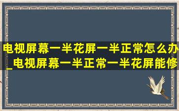 电视屏幕一半花屏一半正常怎么办_电视屏幕一半正常一半花屏能修吗