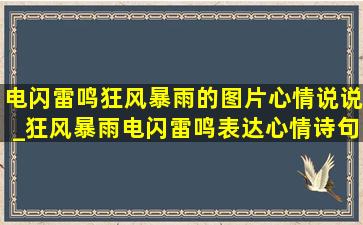 电闪雷鸣狂风暴雨的图片心情说说_狂风暴雨电闪雷鸣表达心情诗句