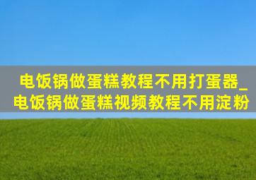 电饭锅做蛋糕教程不用打蛋器_电饭锅做蛋糕视频教程不用淀粉