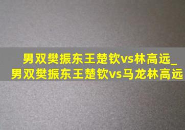 男双樊振东王楚钦vs林高远_男双樊振东王楚钦vs马龙林高远