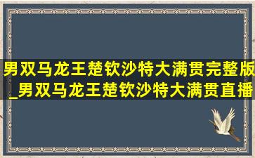 男双马龙王楚钦沙特大满贯完整版_男双马龙王楚钦沙特大满贯直播