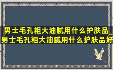 男士毛孔粗大油腻用什么护肤品_男士毛孔粗大油腻用什么护肤品好