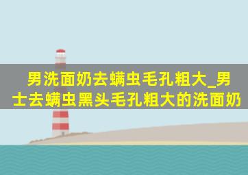 男洗面奶去螨虫毛孔粗大_男士去螨虫黑头毛孔粗大的洗面奶