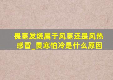 畏寒发烧属于风寒还是风热感冒_畏寒怕冷是什么原因