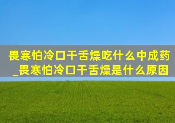 畏寒怕冷口干舌燥吃什么中成药_畏寒怕冷口干舌燥是什么原因