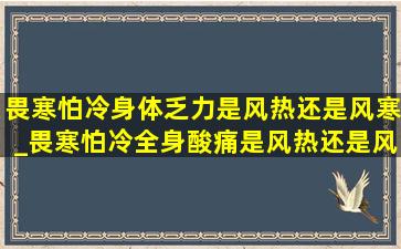 畏寒怕冷身体乏力是风热还是风寒_畏寒怕冷全身酸痛是风热还是风寒