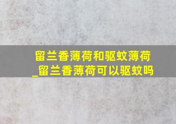 留兰香薄荷和驱蚊薄荷_留兰香薄荷可以驱蚊吗