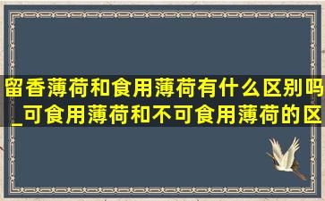 留香薄荷和食用薄荷有什么区别吗_可食用薄荷和不可食用薄荷的区别