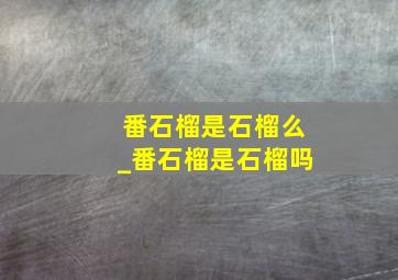 番石榴是石榴么_番石榴是石榴吗