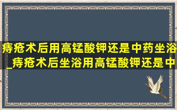 痔疮术后用高锰酸钾还是中药坐浴_痔疮术后坐浴用高锰酸钾还是中药