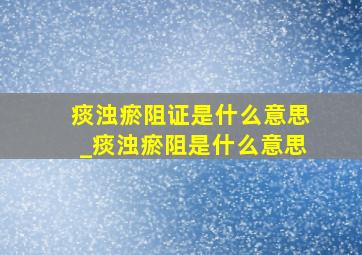 痰浊瘀阻证是什么意思_痰浊瘀阻是什么意思