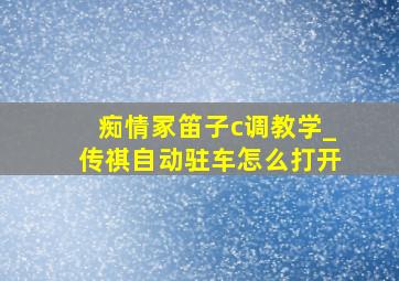 痴情冢笛子c调教学_传祺自动驻车怎么打开