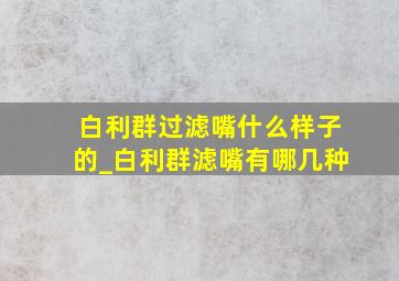 白利群过滤嘴什么样子的_白利群滤嘴有哪几种