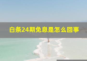 白条24期免息是怎么回事