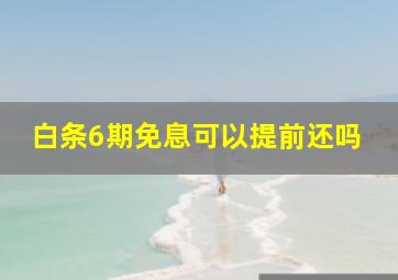 白条6期免息可以提前还吗