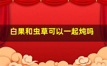 白果和虫草可以一起炖吗