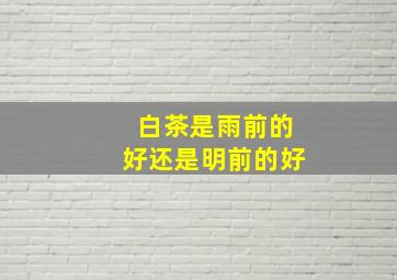 白茶是雨前的好还是明前的好