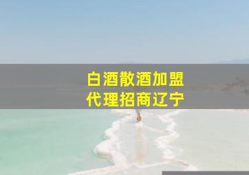 白酒散酒加盟代理招商辽宁