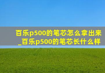 百乐p500的笔芯怎么拿出来_百乐p500的笔芯长什么样