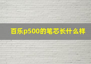 百乐p500的笔芯长什么样