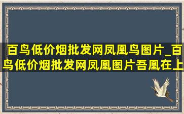 百鸟(低价烟批发网)凤凰鸟图片_百鸟(低价烟批发网)凤凰图片吾凰在上