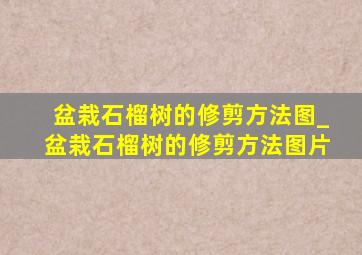 盆栽石榴树的修剪方法图_盆栽石榴树的修剪方法图片