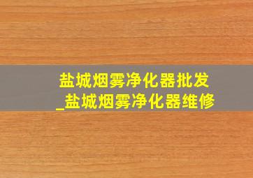 盐城烟雾净化器批发_盐城烟雾净化器维修