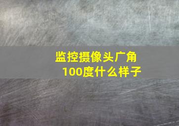 监控摄像头广角100度什么样子