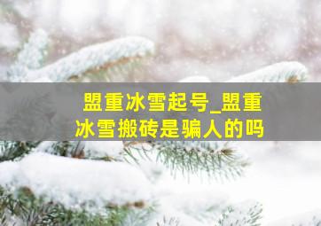 盟重冰雪起号_盟重冰雪搬砖是骗人的吗