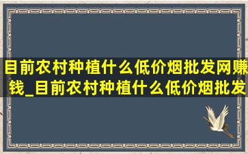 目前农村种植什么(低价烟批发网)赚钱_目前农村种植什么(低价烟批发网)赚钱呢