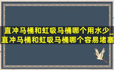 直冲马桶和虹吸马桶哪个用水少_直冲马桶和虹吸马桶哪个容易堵塞