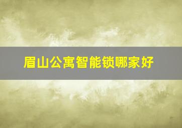 眉山公寓智能锁哪家好