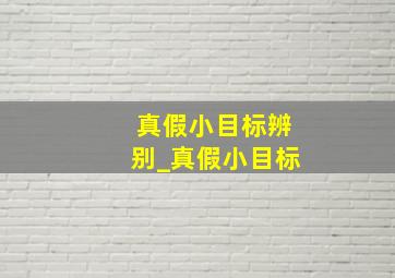 真假小目标辨别_真假小目标