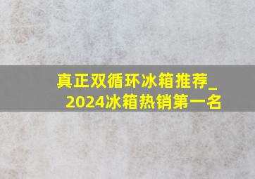 真正双循环冰箱推荐_2024冰箱热销第一名