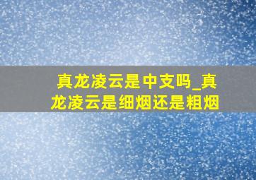 真龙凌云是中支吗_真龙凌云是细烟还是粗烟