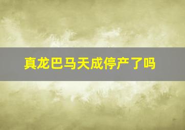 真龙巴马天成停产了吗