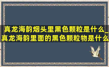 真龙海韵烟头里黑色颗粒是什么_真龙海韵里面的黑色颗粒物是什么