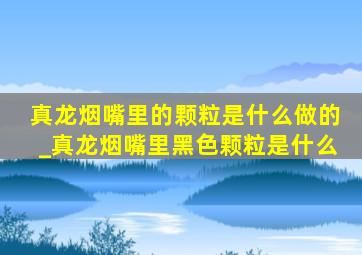 真龙烟嘴里的颗粒是什么做的_真龙烟嘴里黑色颗粒是什么