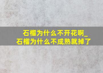 石榴为什么不开花啊_石榴为什么不成熟就掉了