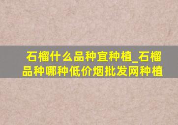 石榴什么品种宜种植_石榴品种哪种(低价烟批发网)种植