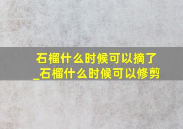 石榴什么时候可以摘了_石榴什么时候可以修剪