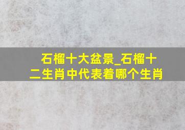 石榴十大盆景_石榴十二生肖中代表着哪个生肖